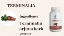 TERMINALIA