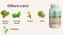 GLUCO CARE