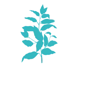 YOUNGFIT WELLNESS